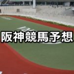【チューリップ賞】3/3(土)阪神競馬予想