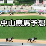 【報知杯弥生賞】3/4(日) 中山競馬予想