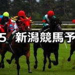 【駿風ステークス】5/5(土) 新潟競馬予想