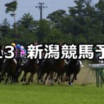 【赤倉特別】5/13(日) 新潟競馬予想
