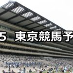 【プリンシパルステークス】5/5(土) 東京競馬予想