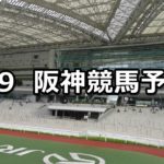 【安芸ステークス】6/9(土) 阪神競馬予想