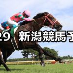 【アイビスサマーダッシュ】7/29(日) 新潟競馬 穴馬予想