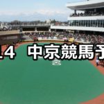 【マレーシアカップ】7/14(土) 中京競馬 穴馬予想
