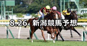 【新潟2歳ステークス】8/26(日) 新潟競馬 穴馬予想