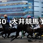 【琉球新報賞】8/30(木)地方競馬 穴馬予想（大井競馬）