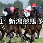 【長岡ステークス】9/1(土) 新潟競馬 穴馬予想