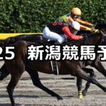 【BSN賞&新潟ジャンプステークス】8/25(土) 新潟競馬 穴馬予想