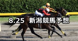 【BSN賞&新潟ジャンプステークス】8/25(土) 新潟競馬 穴馬予想