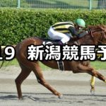 【NST賞】8/19(日) 新潟競馬 穴馬予想