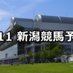 【新潟日報賞】8/11(土) 新潟競馬 穴馬予想