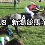 【日本海ステークス】8/18(土) 新潟競馬 穴馬予想