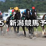 【レパードステークス】8/5(日) 新潟競馬 穴馬予想