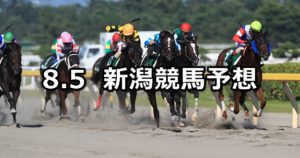 【レパードステークス】8/5(日) 新潟競馬 穴馬予想