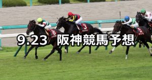 【神戸新聞杯】9/23(日) 阪神競馬 穴馬予想