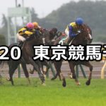 【富士ステークス】10/20(土) 東京競馬 穴馬予想