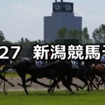 【魚沼特別】10/27(土) 新潟競馬 穴馬予想