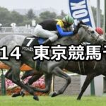 【オクトーバーステークス&東京ハイジャンプ】10/14(日) 東京競馬 穴馬予想