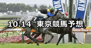【オクトーバーステークス&東京ハイジャンプ】10/14(日) 東京競馬 穴馬予想