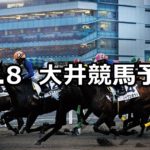 【TOKYO MEGA ILLUMI賞】10/8(月)地方競馬 穴馬予想（大井競馬）