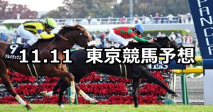 【オーロカップ】11/11(日) 東京競馬 穴馬予想