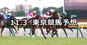 【京王杯２歳ステークス】11/3(土) 東京競馬 穴馬予想