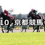 【デイリー杯2歳ステークス】11/10(土) 京都競馬 穴馬予想