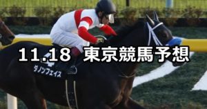 【霜月ステークス】11/18(日) 東京競馬 穴馬予想
