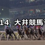 【ハイセイコー記念 】11/14(水)地方競馬 穴馬予想(大井競馬)