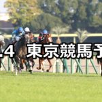 【アルゼンチン共和国杯】11/4(日) 東京競馬 穴馬予想