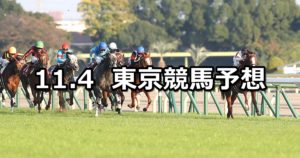【アルゼンチン共和国杯】11/4(日) 東京競馬 穴馬予想
