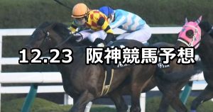 【ギャラクシーステークス】12/23(日) 阪神競馬 穴馬予想