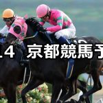 【淀短距離ステークス】2019/1/14(月) 京都競馬 穴馬予想