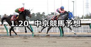 【東海ステークス】2019/1/20(日) 中京競馬 穴馬予想