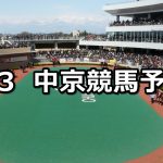 【納屋橋ステークス】2019/2/3(日) 中京競馬 穴馬予想