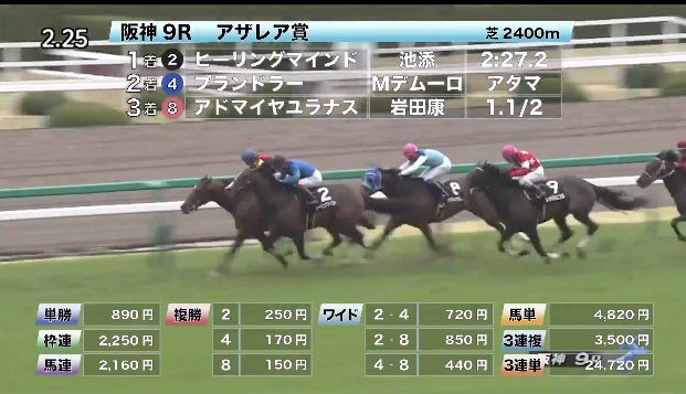 2019年3月5週 中央競馬 先週の的中結果 穴馬特捜斑