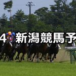 【邁進特別】2019/5/4(土) 新潟競馬 穴馬予想