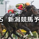 【谷川岳ステークス】2019/5/5(日) 新潟競馬 穴馬予想