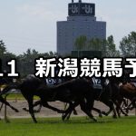【中ノ岳特別】2019/5/11(土) 新潟競馬 穴馬予想