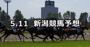 【中ノ岳特別】2019/5/11(土) 新潟競馬 穴馬予想