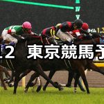 【ヴィクトリアマイル】2019/5/12(日) 東京競馬 穴馬予想