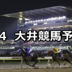 【'19メトロポリタンジューンカップ】2019/6/4(火)地方競馬 穴馬予想(大井競馬)