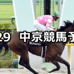 【白川郷ステークス】2019/6/29(土) 中京競馬 穴馬予想