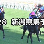 【アイビスサマーダッシュ】2019/7/28(日) 新潟競馬 穴馬予想