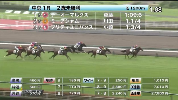 19年7月1週 中央競馬 先週の的中結果 穴馬特捜斑