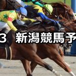 【越後ステークス】2019/8/3(土) 新潟競馬 穴馬予想