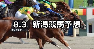 【越後ステークス】2019/8/3(土) 新潟競馬 穴馬予想