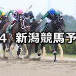 【レパードステークス】2019/8/4(日) 新潟競馬 穴馬予想