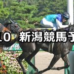 【新潟日報賞】2019/8/10(土) 新潟競馬 穴馬予想