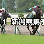 【関屋記念】2019/8/11(日) 新潟競馬 穴馬予想